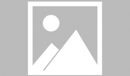 柳叶包子的捏法视频,传统技艺的传承与创新